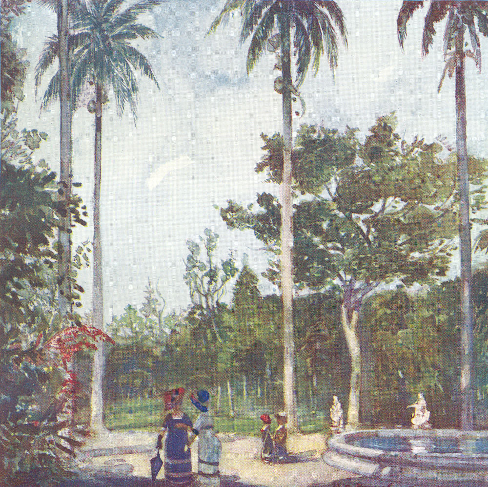 BRAZIL. In the Botanical Gardens, Rio 1908 old antique vintage print picture